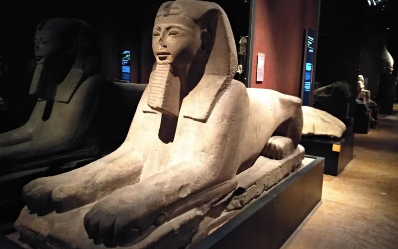 Exclusive Turin Egyptian Museum Tour - main image