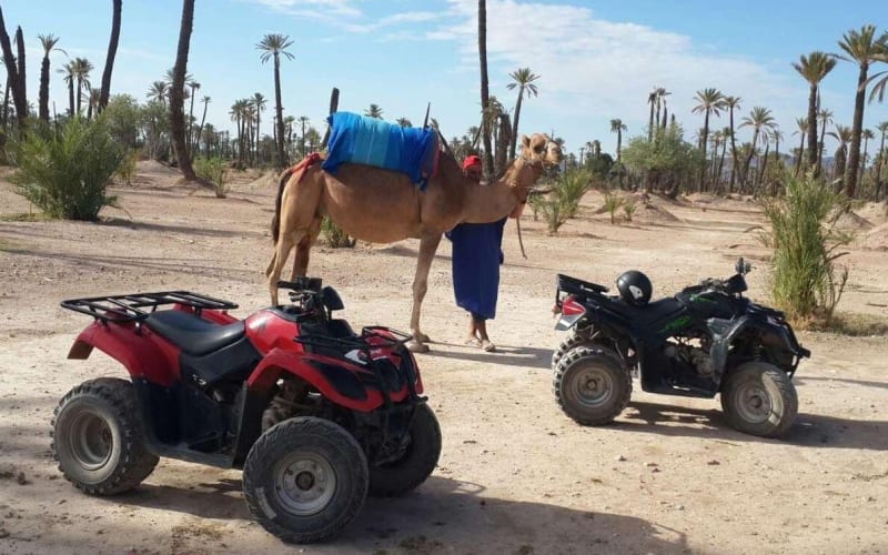 Marrakech Camel Ride & Quad Bike Adventure - main image