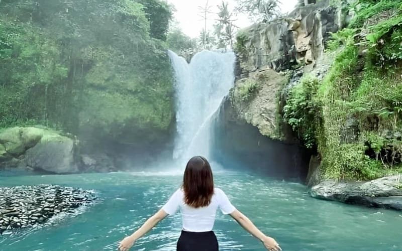 Ubud Day Tour: Sacred Monkey Forest, Tegenungan Waterfall, Rice Terrace - main image