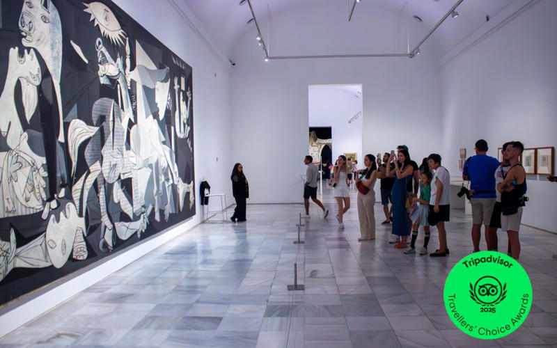 Reina Sofia Museum Guided Tour - main image
