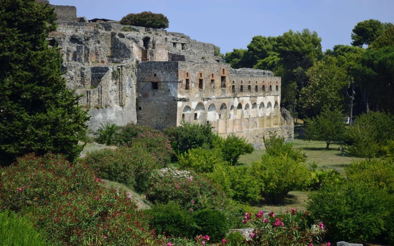 Private Pompeii Half-Day Tour from Naples - main image