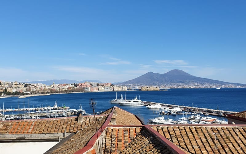 Naples and Pompeii Half-Day Tour - main image