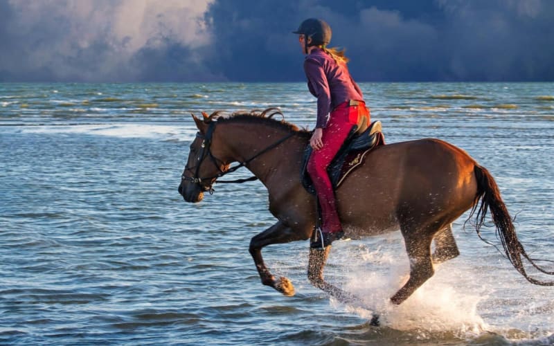 Casablanca Beach Horseback Riding Experience - main image