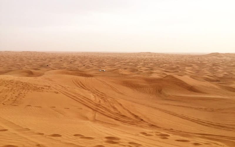 Dubai Morning Desert Safari with Dune Bash - main image