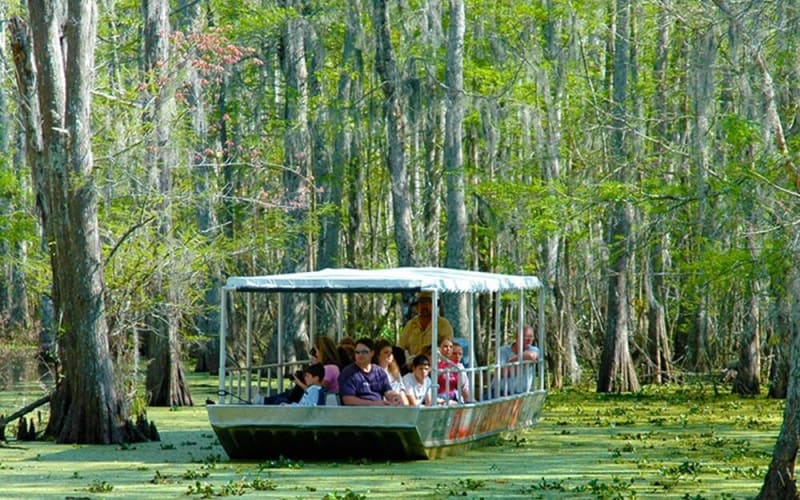 Honey Island Swamp Boat Tour - main image