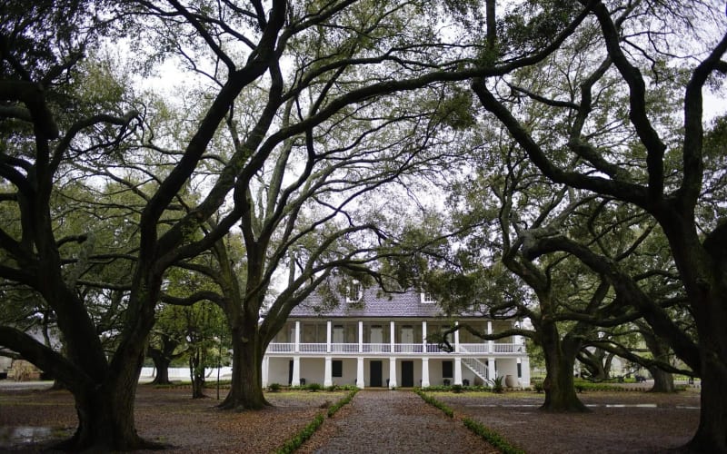 Whitney Plantation Tour with Transportation - main image