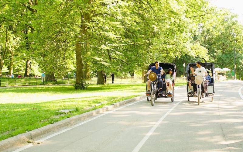 Central Park Private Pedicab Tour - main image