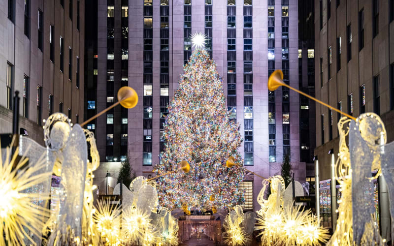 NYC Holiday Lights & Dyker Heights Tour - main image