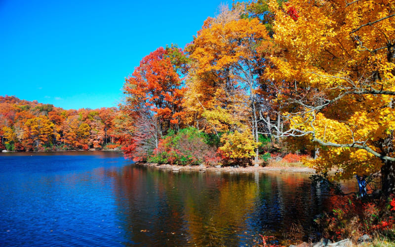 Hudson River Oktoberfest Day Cruise to Bear Mountain Park - main image