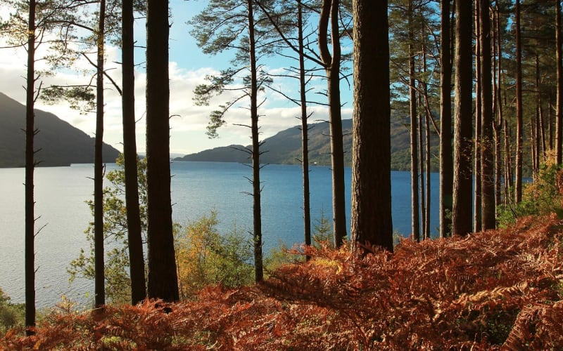 Loch Lomond & Whisky Tour from Glasgow - main image