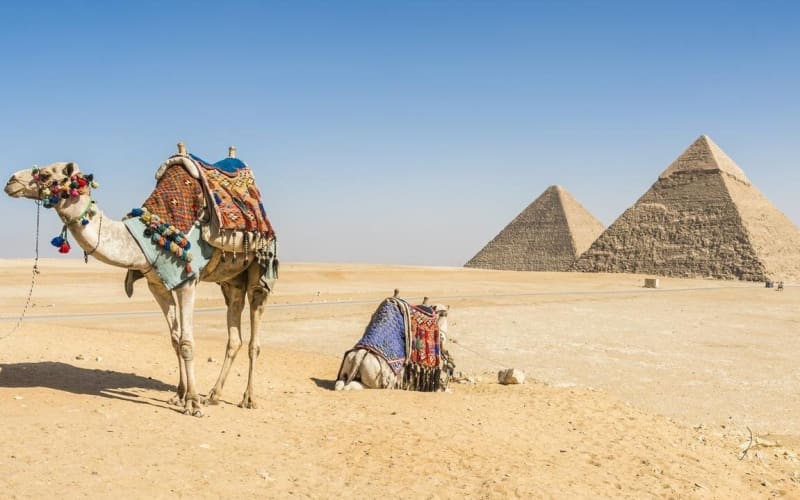 Private Day Tour to Cairo with Flights and Lunch from Hurghada - main image