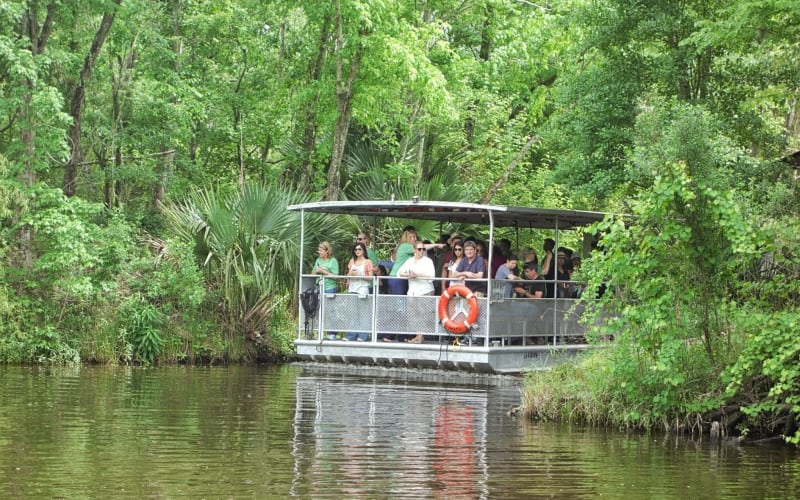 90-Minute Jean Lafitte Swamp and Bayou Tour - main image