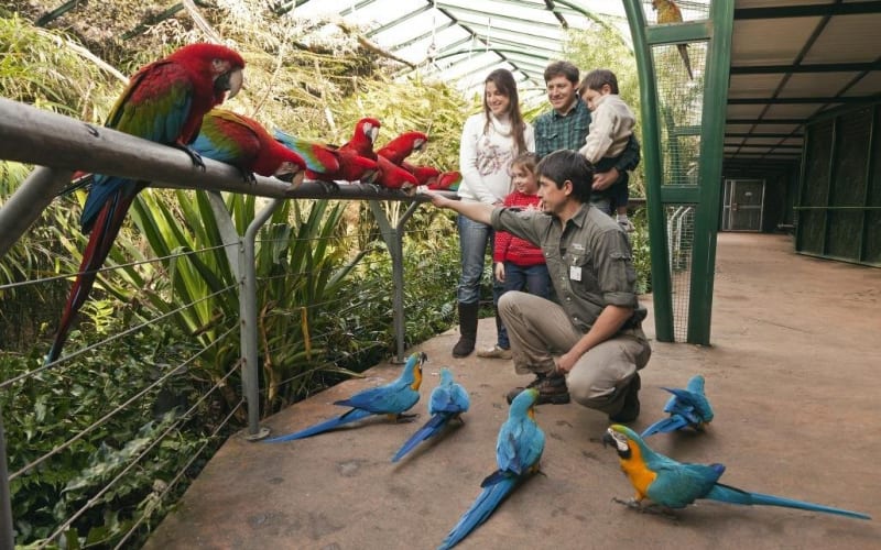 Buenos Aires Temaiken Biopark Tour - main image