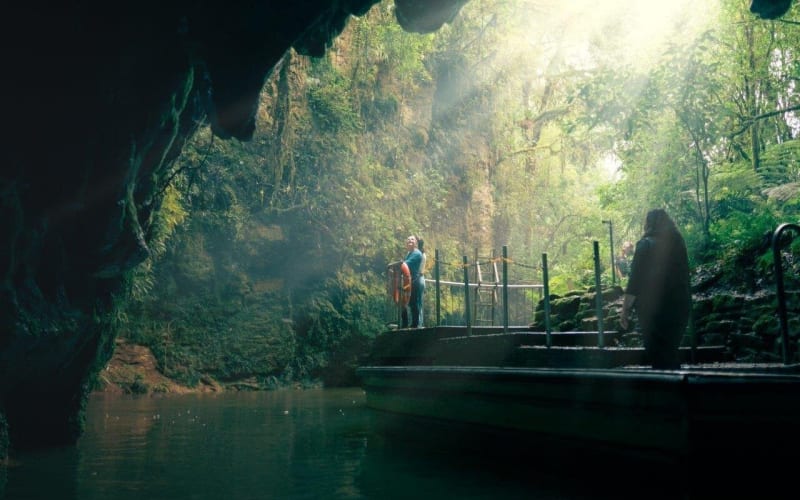 Auckland to Rotorua via Waitomo Caves Tour - main image