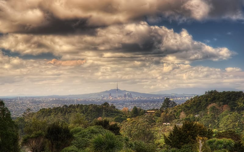 Ultimate Auckland Experience Full-Day Tour with Brewery Lunch - main image