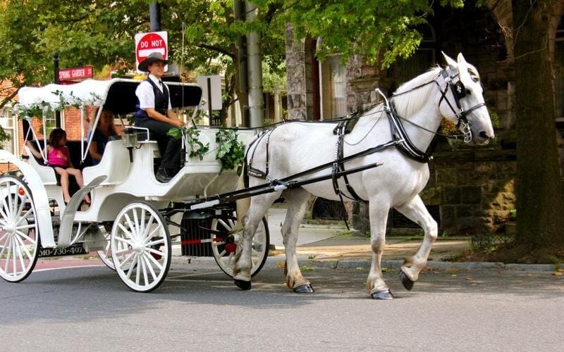 Central Park Horse and Carriage Ride - main image