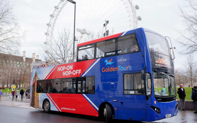 Gray Line London Hop-On Hop-Off Bus Tour with Optional Cruise - main image