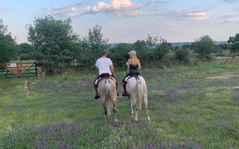 Madrid Horseback Riding Adventure - main image