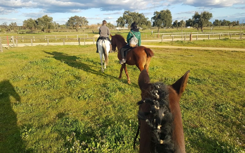 Horseback Riding in Doñana Park - main image