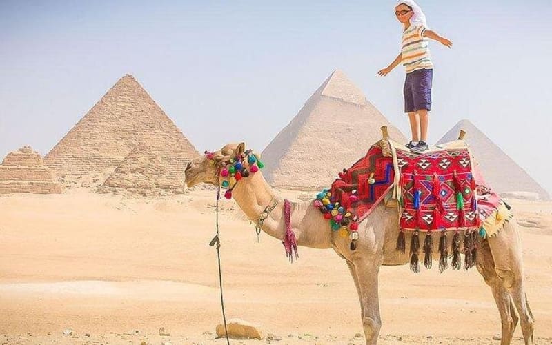 Giza Pyramids and Sphinx Tour - main image