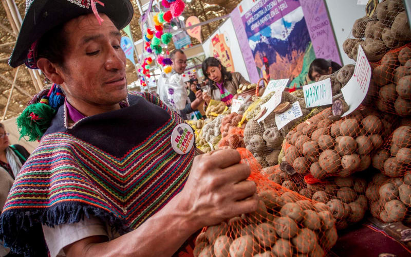 Authentic Peruvian Home Cooking Class in Cusco - main image