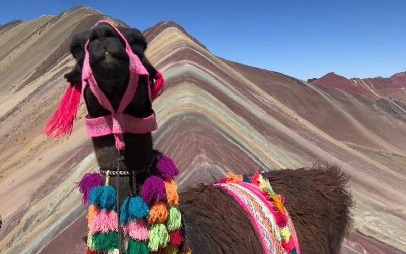 5-Day Cusco Adventure: Machu Picchu, Vinicunca & Singrenacocha - main image