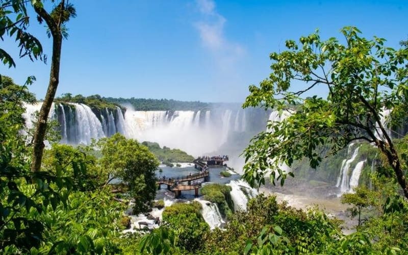 Brazilian Falls & Bird Park Adventure - main image
