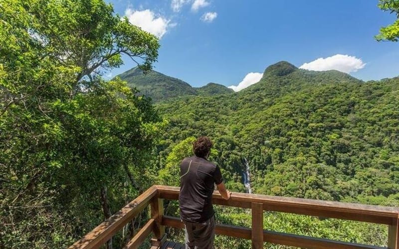 Tijuca National Park Hiking Adventure - main image