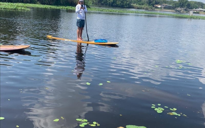 Orlando Manatee and Olde Florida History Adventure Tour - main image