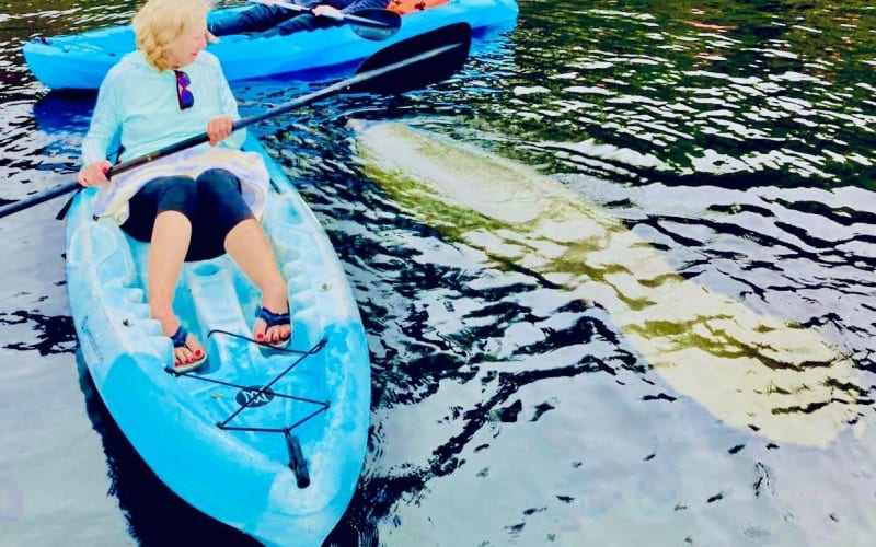 St. Augustine Wildlife Kayak Adventure - main image