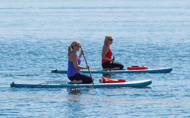 Dolphin and Manatee Paddleboard Tour - main image