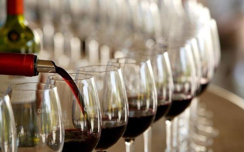 Maipo Valley Wine Tour from Santiago - main image