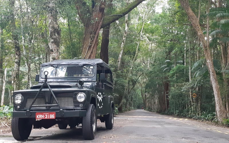 Rio de Janeiro Jeep Tour: Botanical Garden & Tijuca Rainforest - main image
