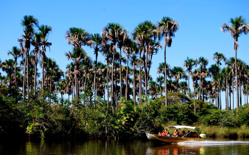 Preguiças River Boat Tour - main image