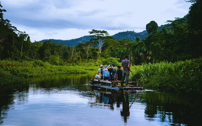 3-Day Manu Jungle Lodge Tour - main image