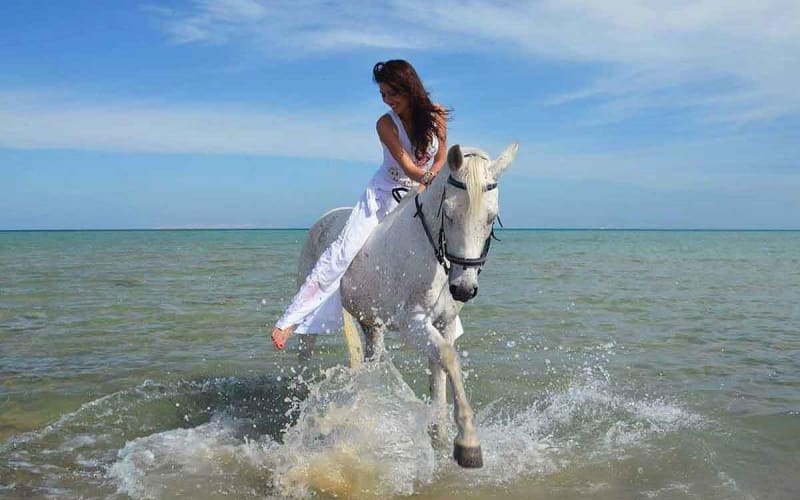 Nabq Bay Beach Horseback Ride - main image