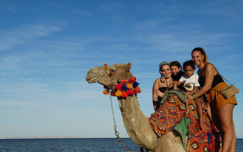 Marsa Alam Desert Camel Ride - main image