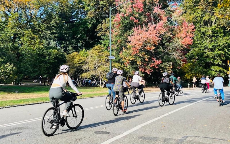 Central Park Guided Bike Tour - main image