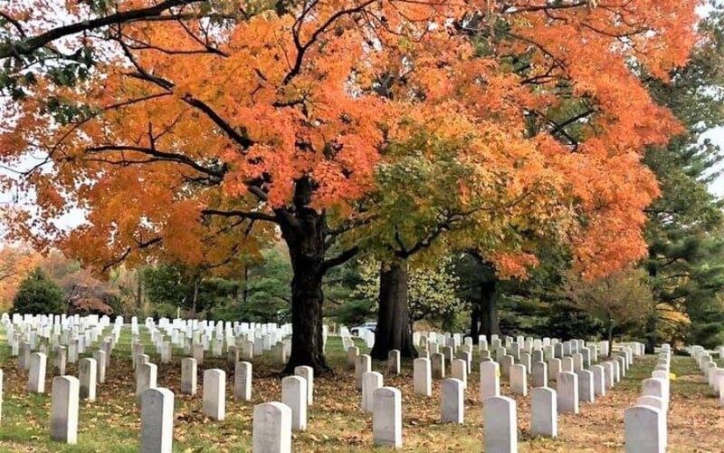 Arlington Cemetery Guided Walking Tour - main image