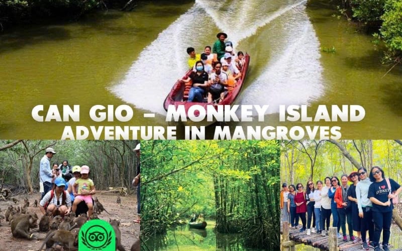 Cần Giờ Eco-Tour: Monkeys, Crocs & War History - main image