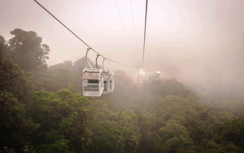 Monteverde Sky Tram & Hanging Bridges Cloud Forest Tour - main image