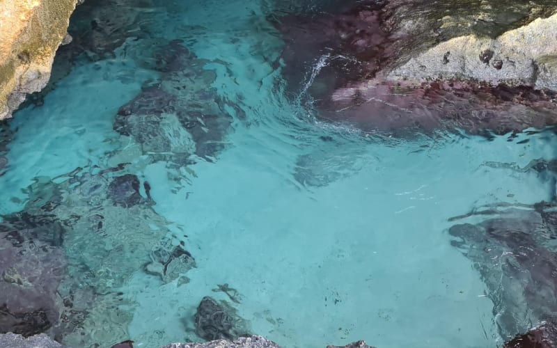 Aruba UTV Adventure with Natural Pool Swim - main image