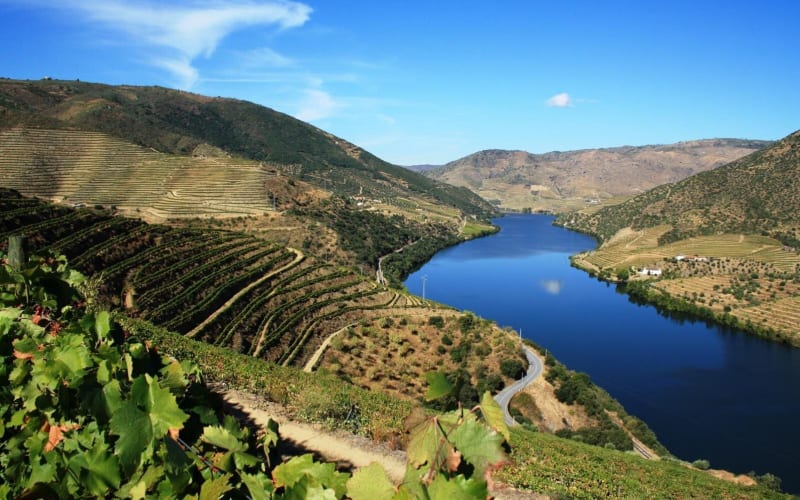 Private Douro Valley Wine Tour with Lunch - main image