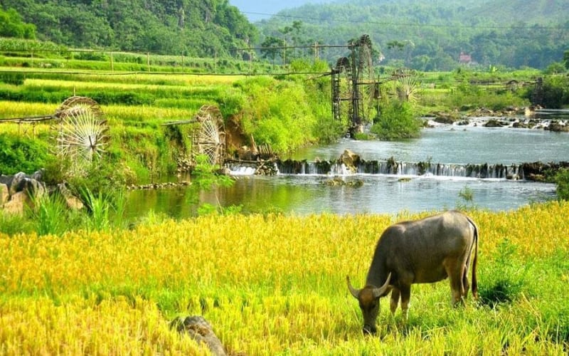 Mai Chau 1-Day Tour from Hanoi - main image