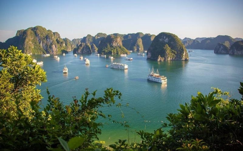 Halong Bay Day Trip with Ti Top Island - main image