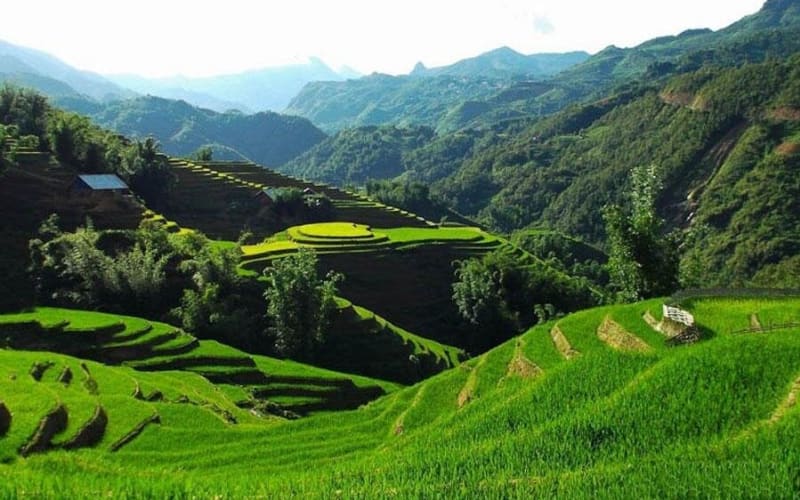 Sapa 3-Day Trekking Adventure - main image