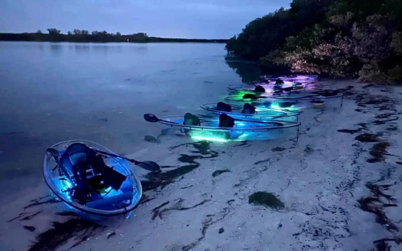 Shell Key Clear Kayak Sunset & Glow Tours - main image