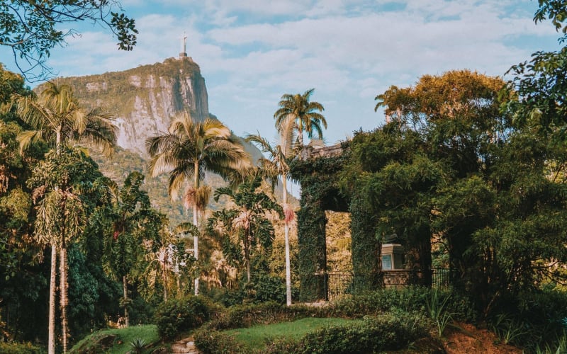 Rio de Janeiro Botanical Garden & Tijuca Forest Tour - main image