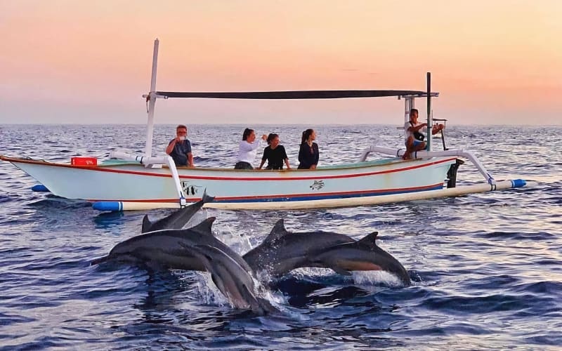 Lovina Dolphin Watching & Snorkeling Tour - main image