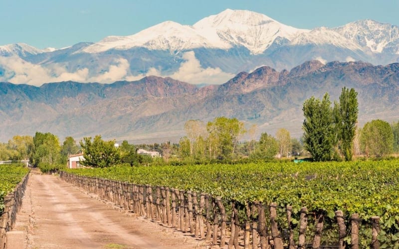 Los Angeles Highlights 4-Hour Private Driving Tour - main image
